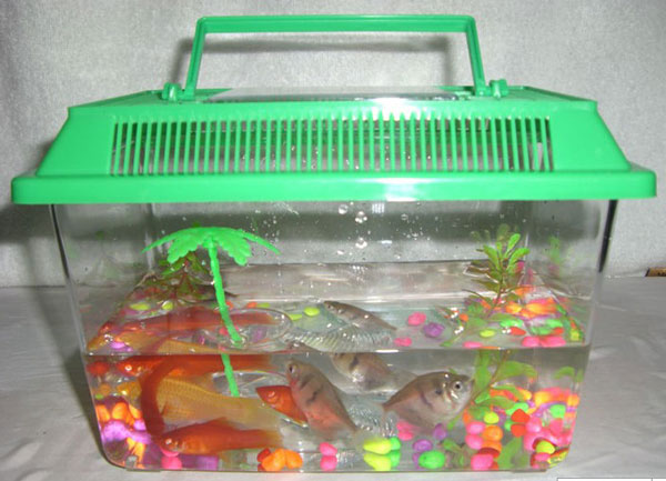 Plastic Fish Bowl 07